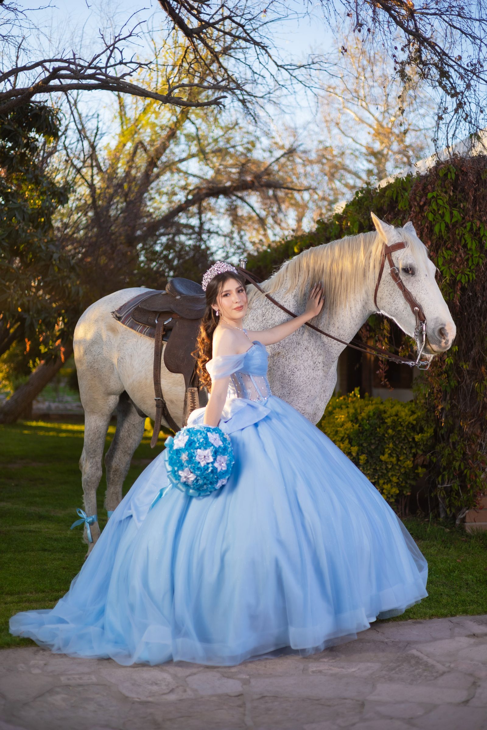Lluvia con caballo en el jardín